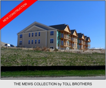 The Mews Collection luxury single level condos
