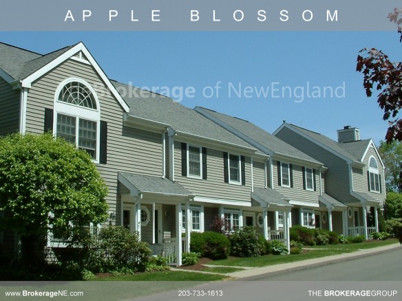 Apple blossom townhouses in danbury ct REBG