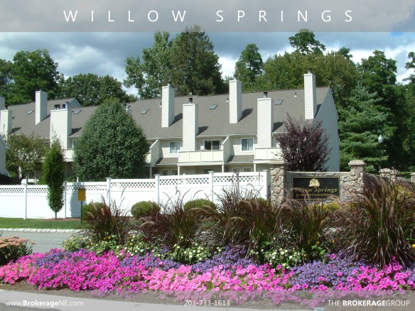 Willow Springs Townhouse and condo community new milford ct